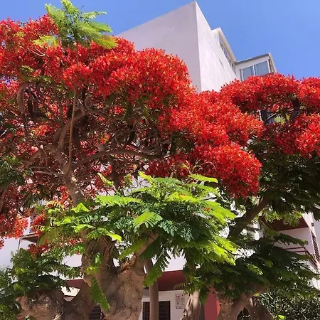 Apartamento Con Piscina Cerca De Puerto Colon *